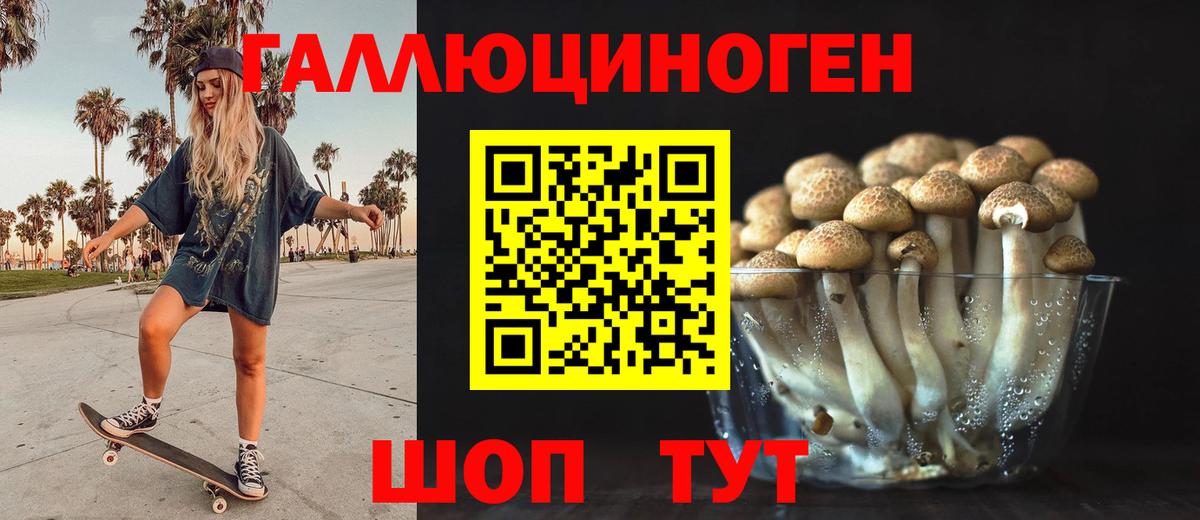Галлюциногенные грибы Cubensis  Псилоцибиновые грибы Psilocybe  Саратов  Вход с VPN 