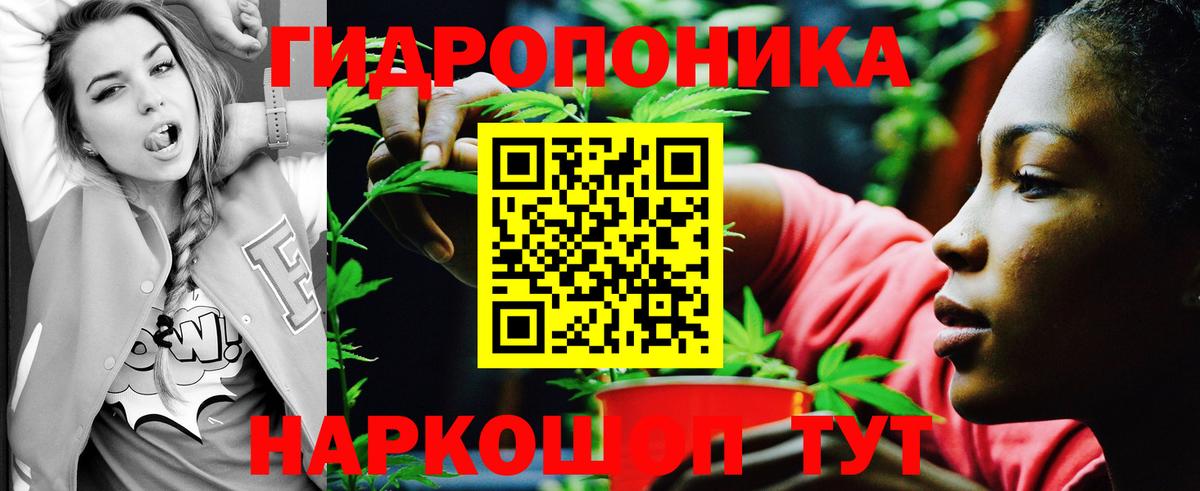 Канабис SATIVA & INDICA Саратов